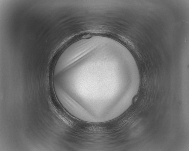 X0000071950535200608041556