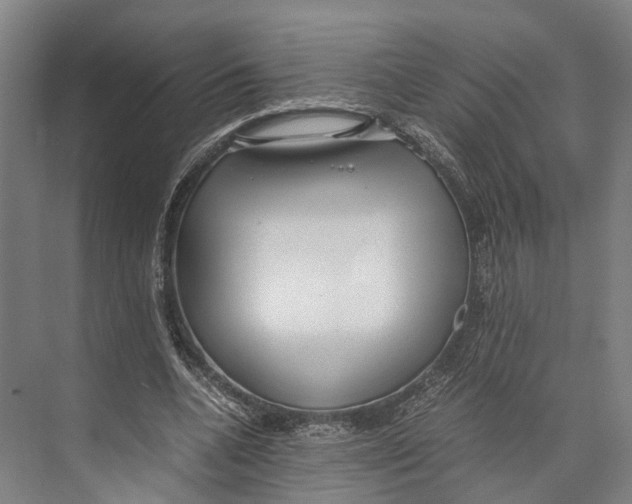 X0000071950536200608041556