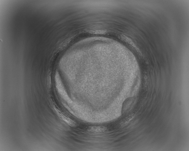 X0000071950541200608041556