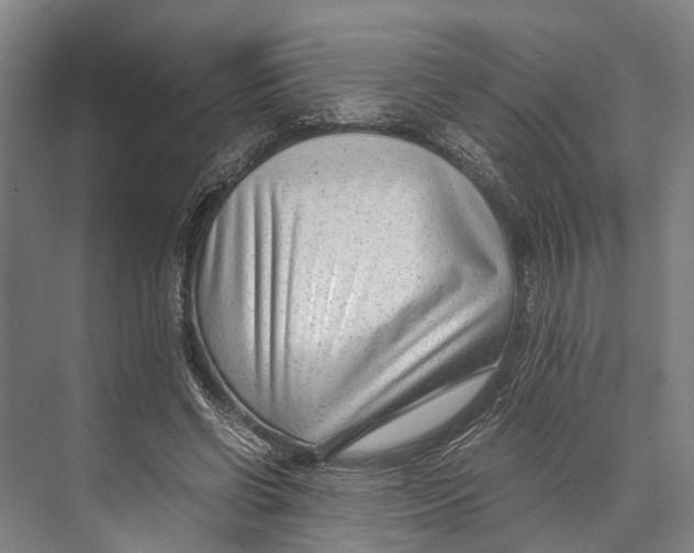 X0000071950542200608041556