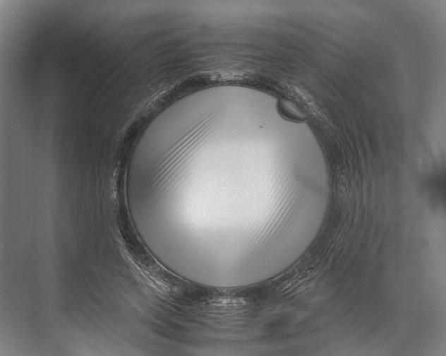 X0000071950543200608041556