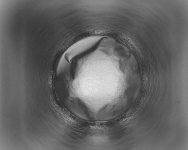 X0000071950545200608041556