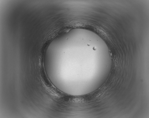 X0000071950546200608041556