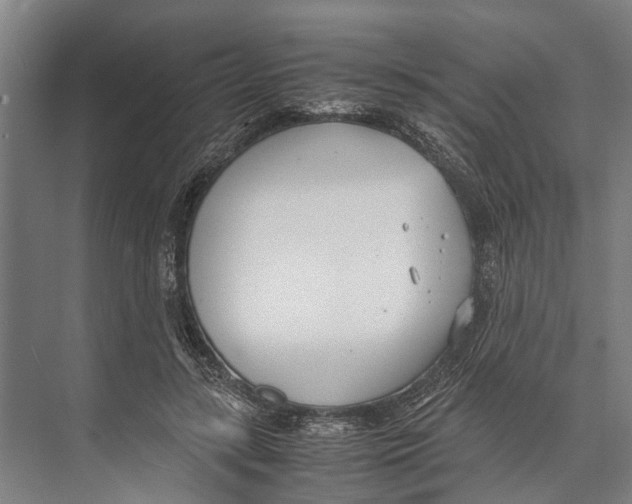 X0000071950547200608041556