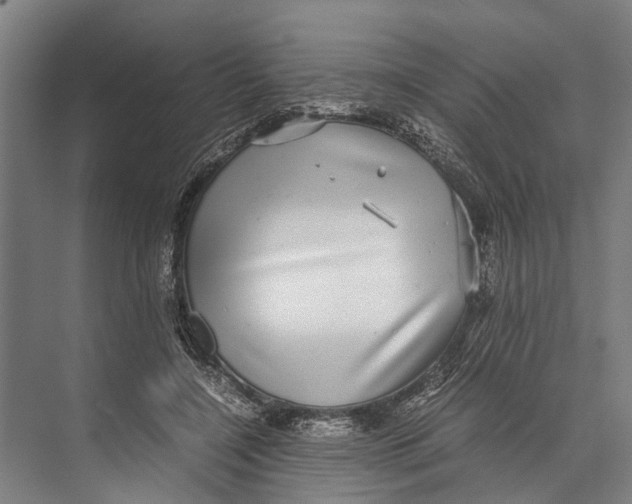 X0000071950548200608041556