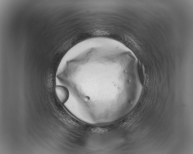 X0000071950549200608041556