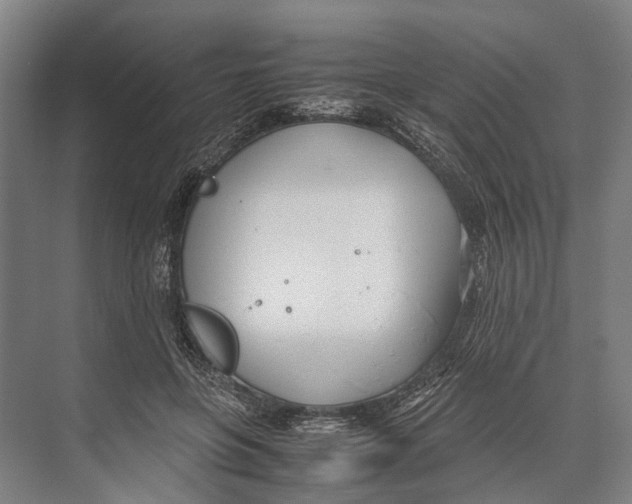 X0000071950551200608041556