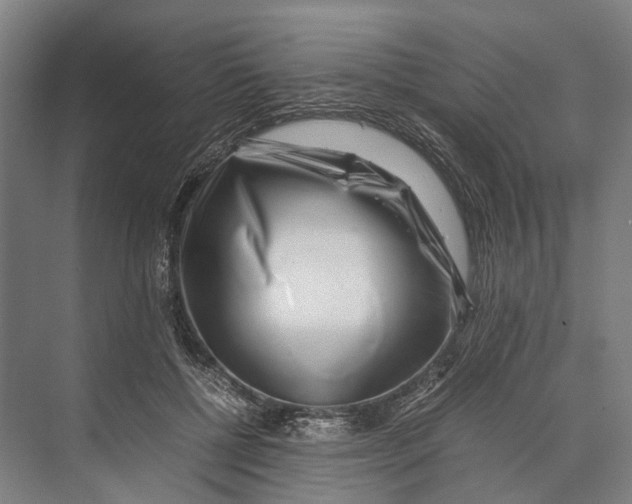 X0000071950552200608041556