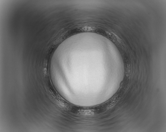 X0000071950553200608041556