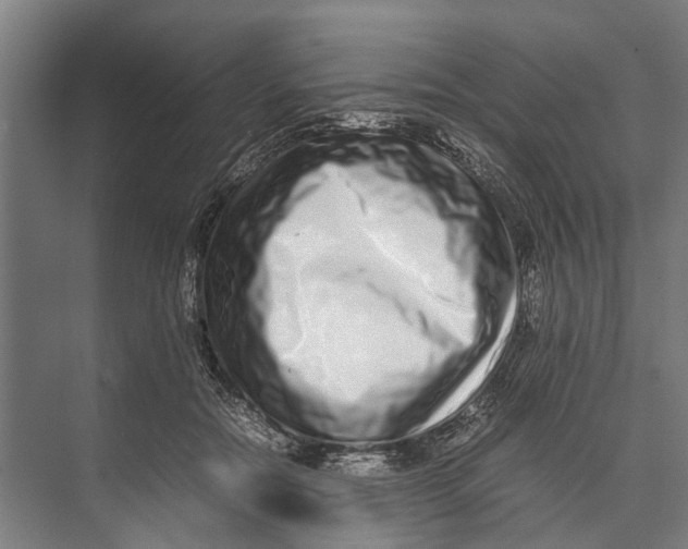 X0000071950554200608041556