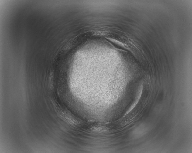 X0000071950557200608041556