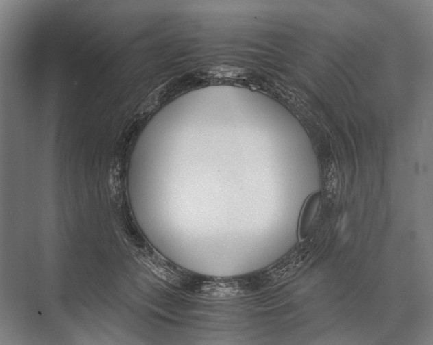 X0000071950559200608041556