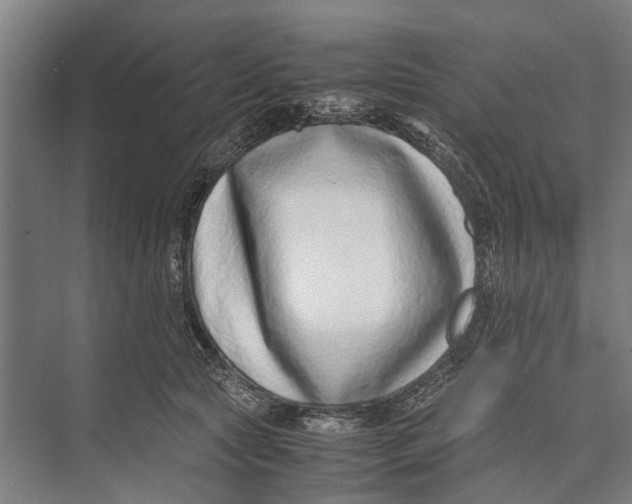 X0000071950561200608041556