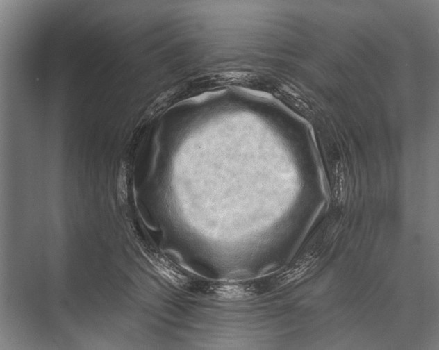 X0000071950562200608041556