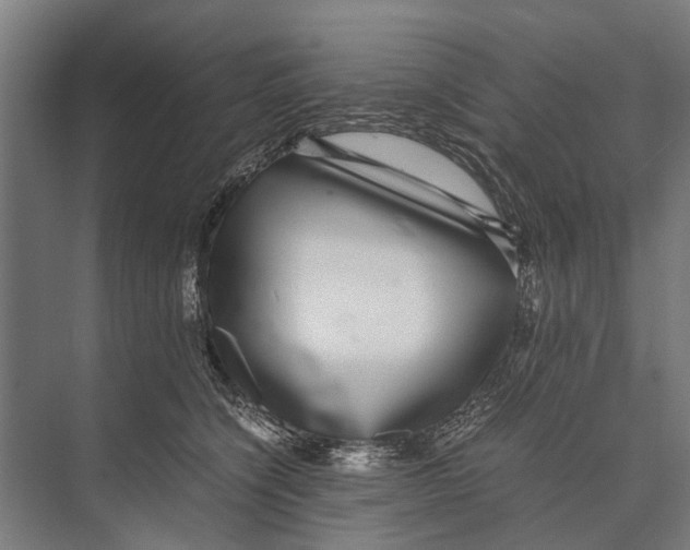 X0000071950564200608041556