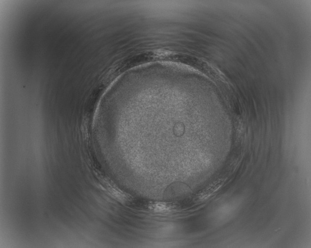 X0000071950565200608041556