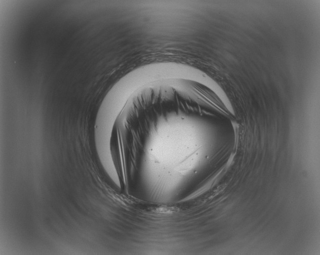 X0000071950566200608041556