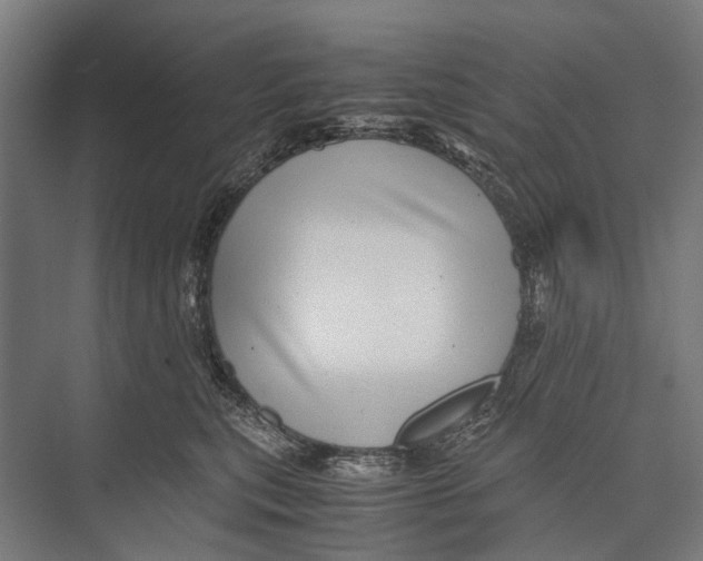 X0000071950567200608041556