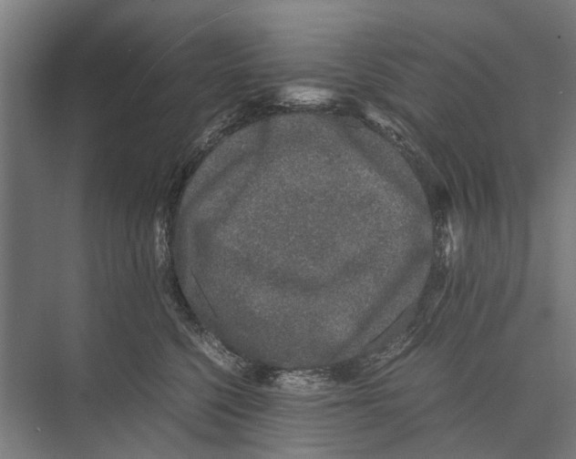 X0000071950568200608041556