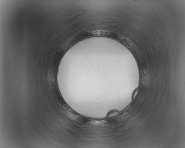 X0000071950569200608041556