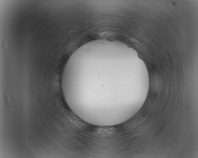 X0000071950571200608041556