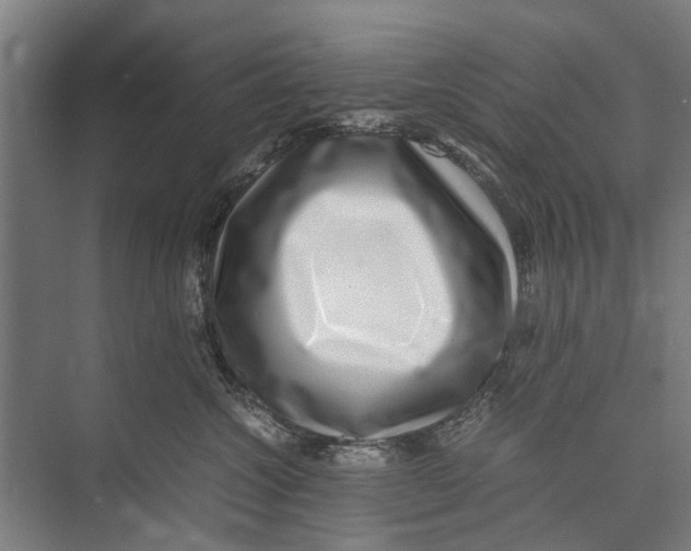 X0000071950572200608041556