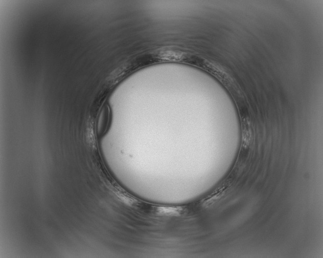 X0000071950573200608041556