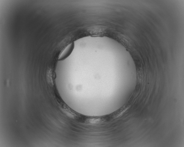 X0000071950575200608041556