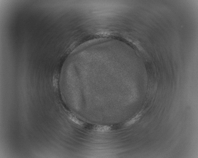 X0000071950576200608041556