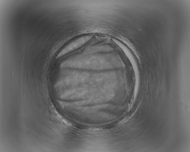 X0000071950577200608041555