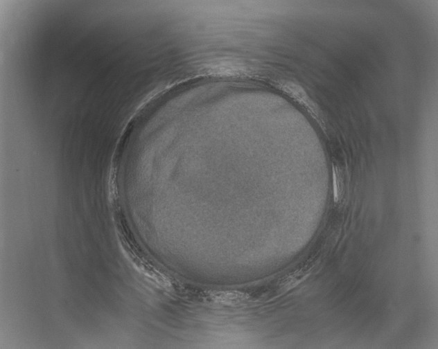 X0000071950579200608041555