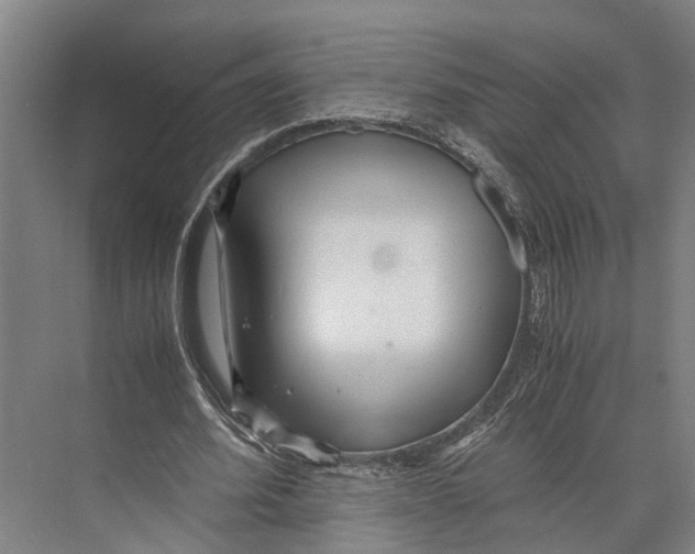 X0000071950580200608041555