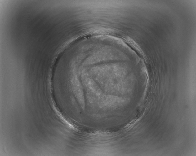 X0000071950581200608041555