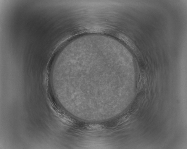 X0000071950583200608041555