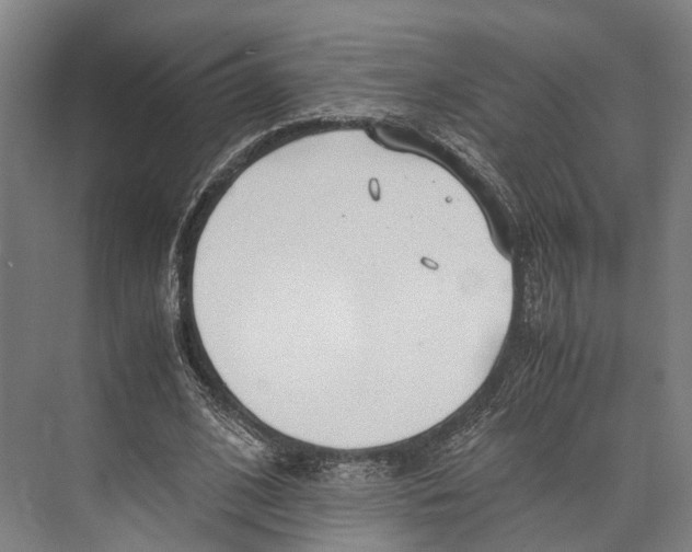 X0000071950584200608041555