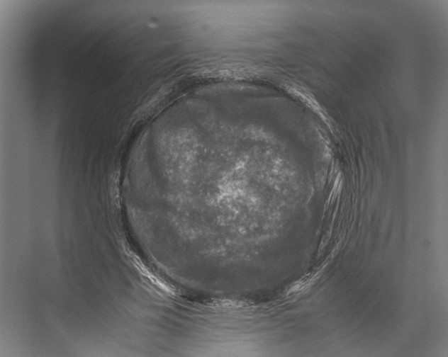 X0000071950585200608041555