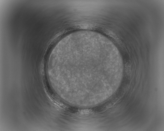 X0000071950587200608041555