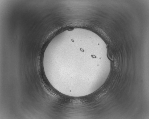 X0000071950588200608041555