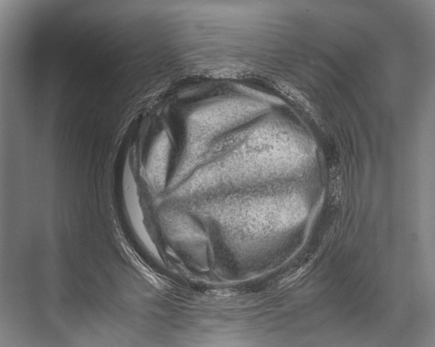 X0000071950589200608041555