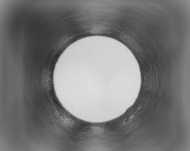 X0000071950592200608041555