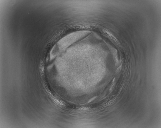 X0000071950593200608041555