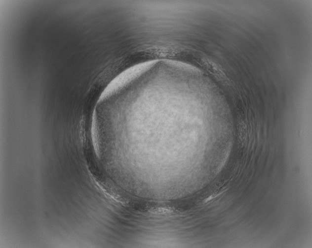 X0000071950594200608041555