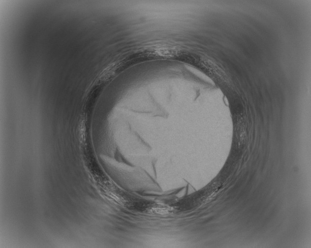 X0000071950595200608041555