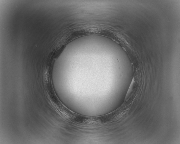 X0000071950597200608041555