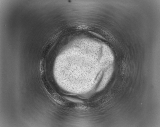 X0000071950598200608041555