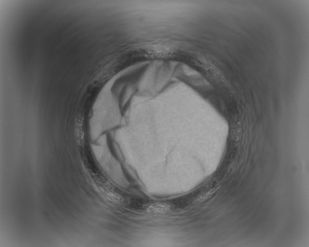 X0000071950599200608041555