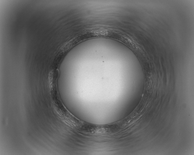 X0000071950600200608041555