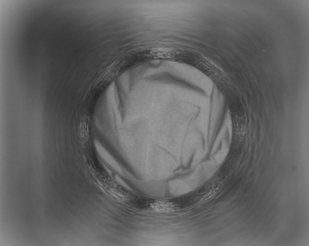 X0000071950603200608041555