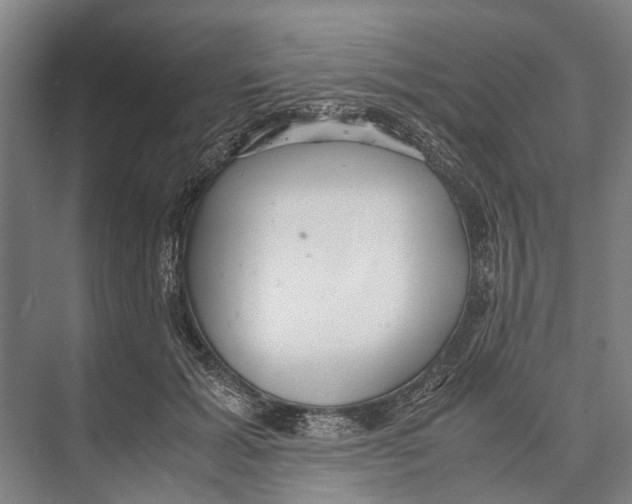 X0000071950605200608041555