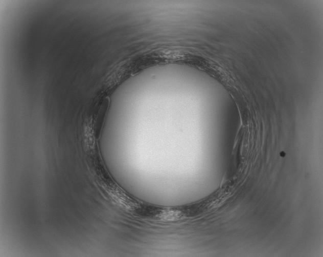 X0000071950609200608041555